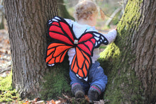 Monarch Butterfly Wings