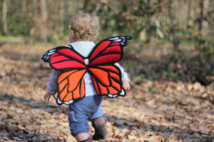 Monarch Butterfly Wings