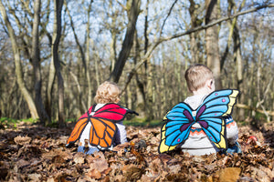 Monarch Butterfly Wings